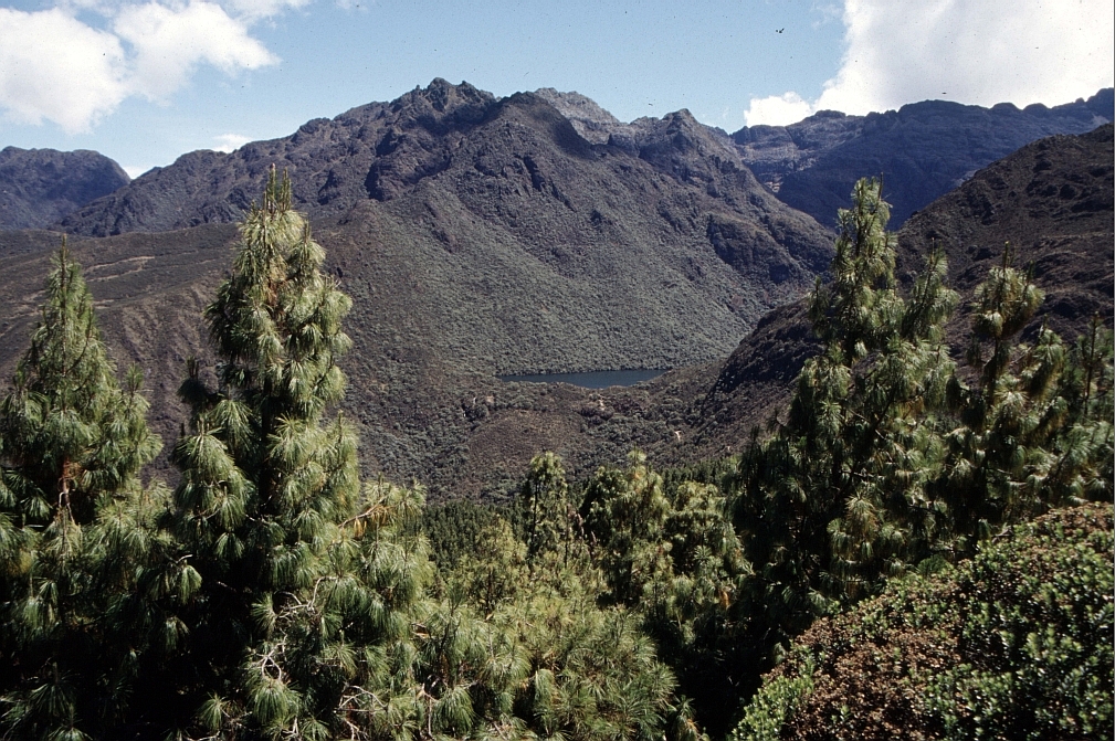 Noerdlich Merida - Venezuela